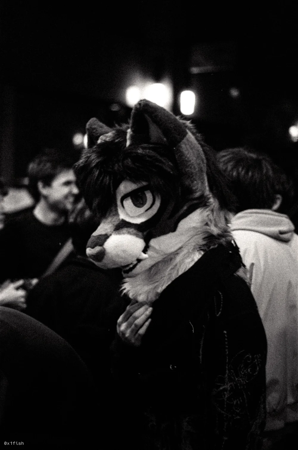 LFMWP25-FP4-1+14+of+35.jpg