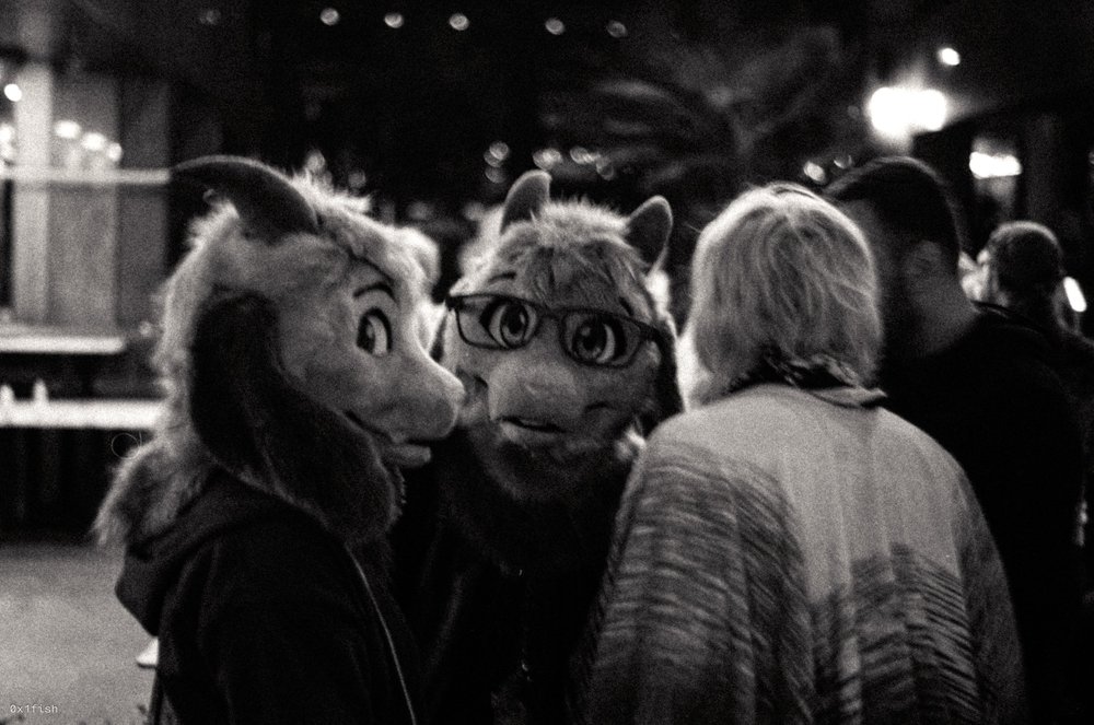 LFMWP25-FP4-1+18+of+35.jpg