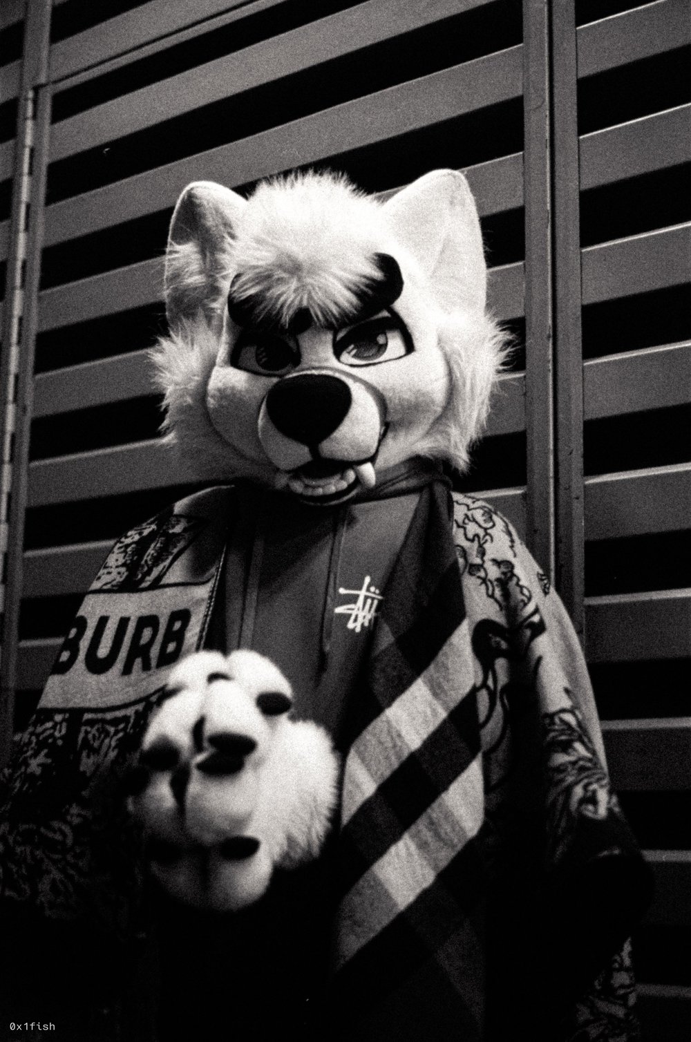 LFMWP25-FP4-1+4+of+35.jpg