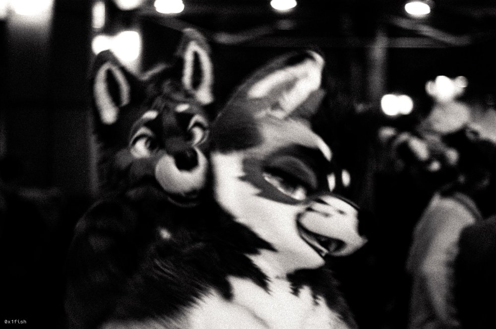 LFMWP25-FP4-2+13+of+31.jpg