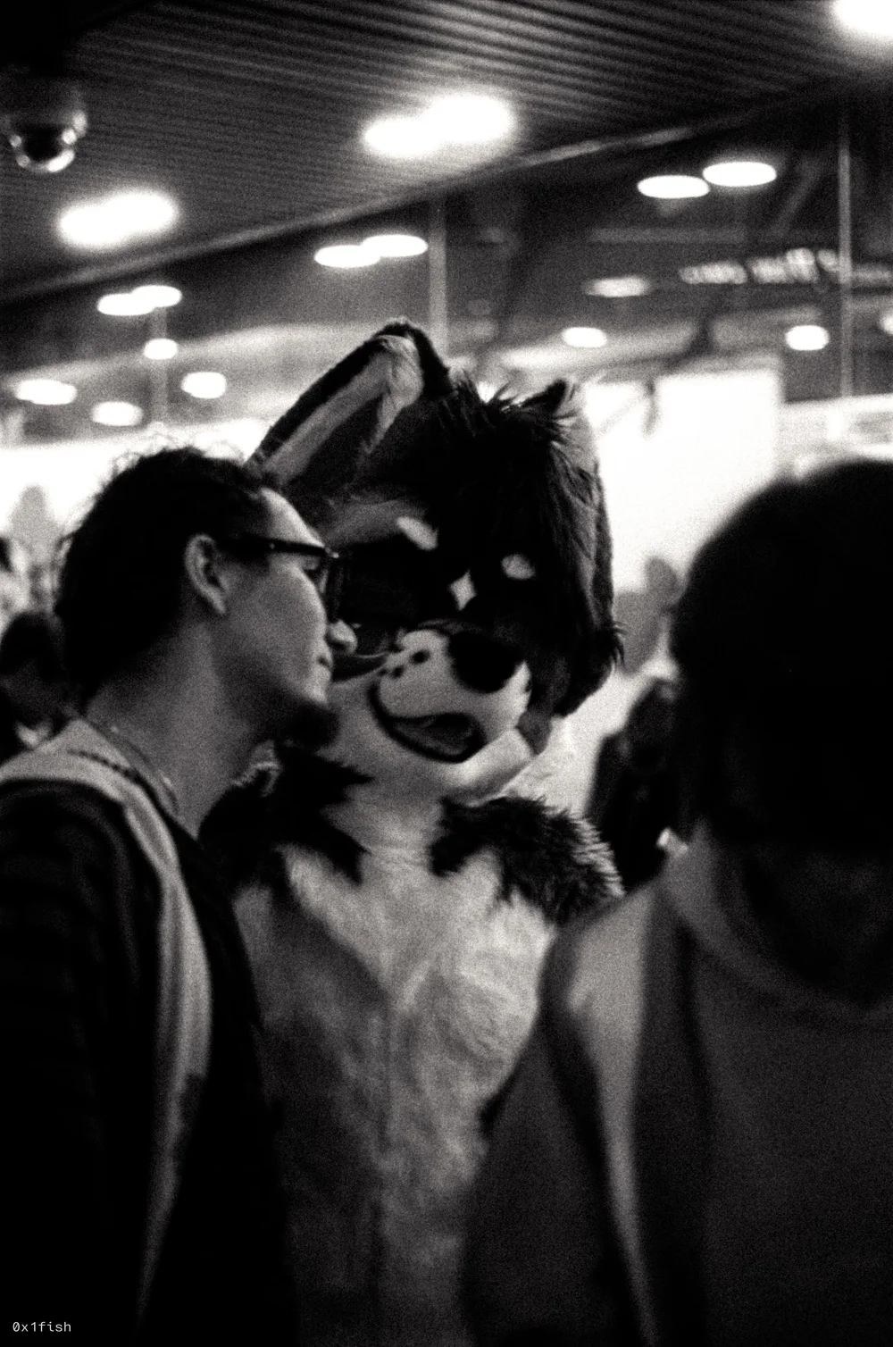 LFMWP25-FP4-2+16+of+31.jpg