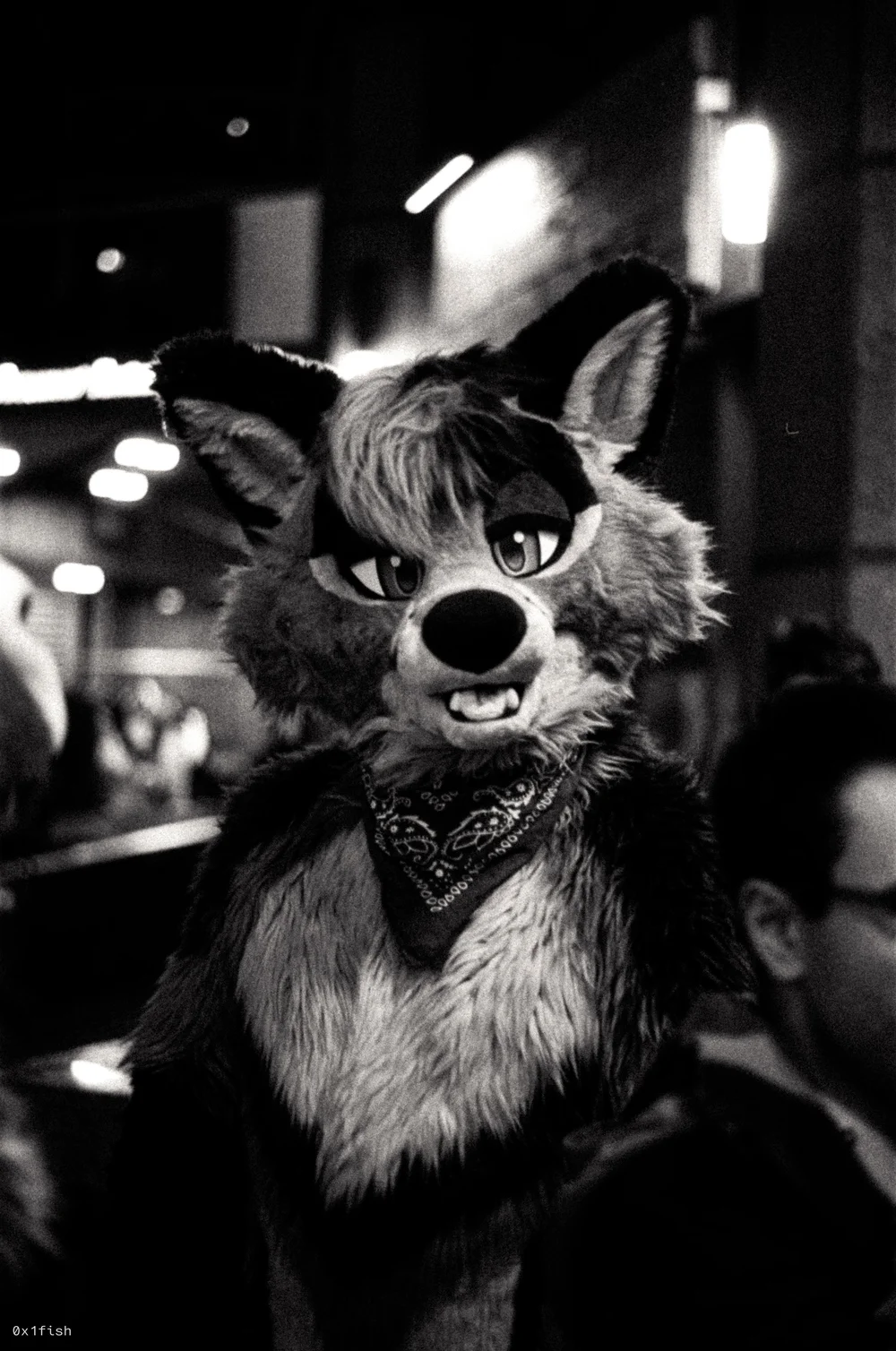 LFMWP25-FP4-2+28+of+31.jpg