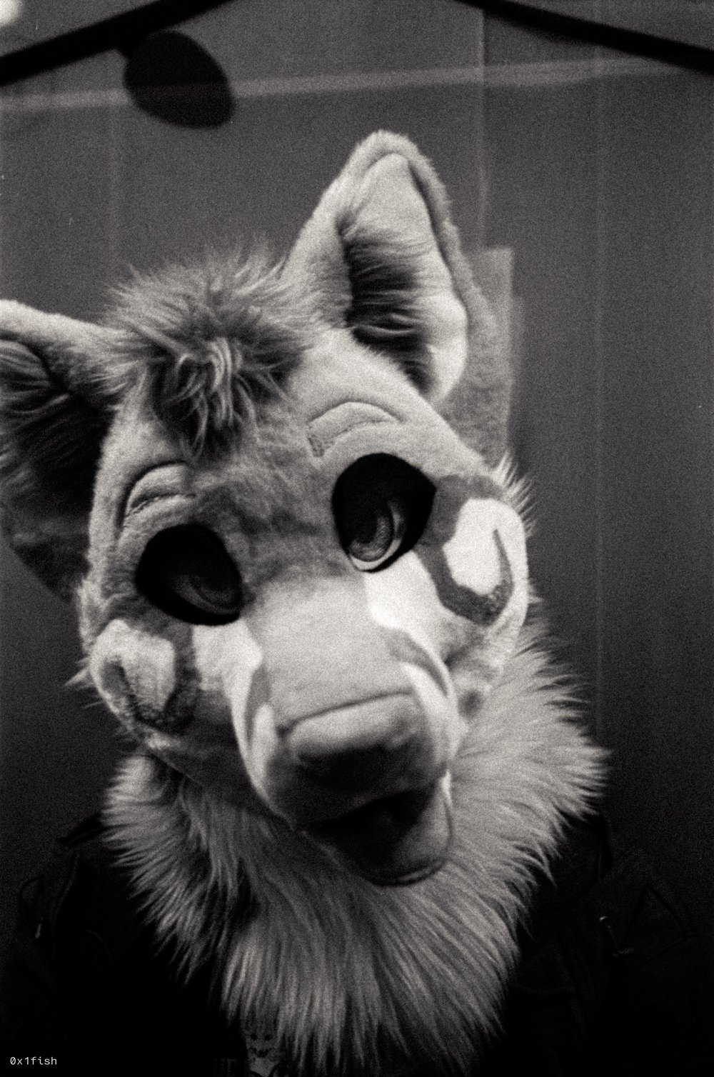 LFMWP25-FP4-2+3+of+31.jpg