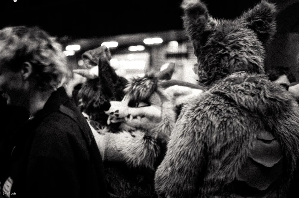 LFMWP25-FP4-2+6+of+31.jpg