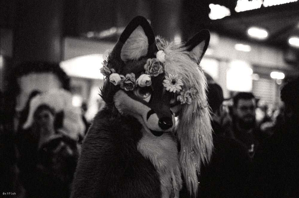 LFMWP25-FP4-2+8+of+31.jpg